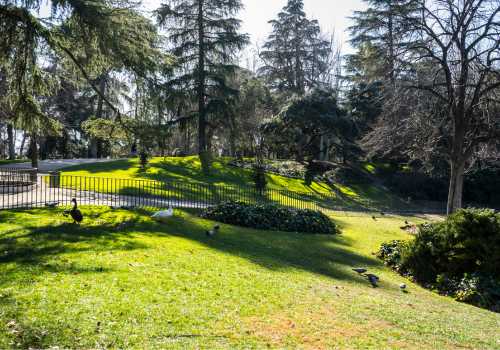 This is inside the Crystal Palace Park in Crystal Palace