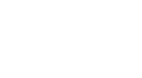 brearded-kitten